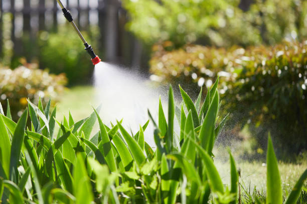 Tamper-Resistant Bait Stations for Rodents in San Buenaventura