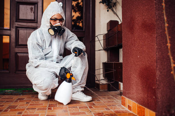 Attic and Crawl Space Rodent Treatment in San Buenaventura